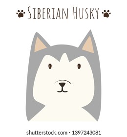 Funny cute Siberian Husky dog flat cartoon illustration flat vector design.