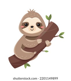 Funny cute sloth. Smiling lazy animal lies on thick branch of tree. Slow exotic mammal. Design element for social networks or posters. Cartoon flat vector illustration isolated on white background