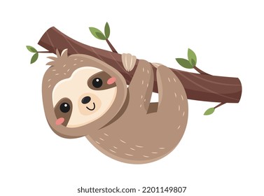 Funny cute sloth. Tropical or exotic animal inhabiting savannah. Happy lazy mammal on tree branch. Design element for social networks or posters. Cartoon flat vector illustration isolated on white