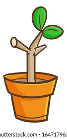 Funny and cute small tree growing in a pot