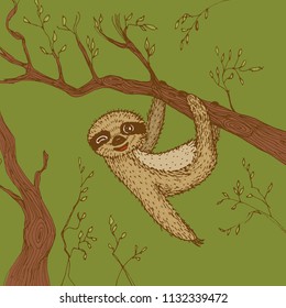 funny and cute smiling Three-toed sloth wink on branch brown green beige color background. sketch, drawing by hand. Vector