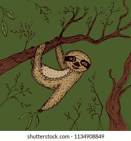 funny and cute smiling Three-toed sloth wink on branch brown green beige color background. sketch, drawing by hand. Vector