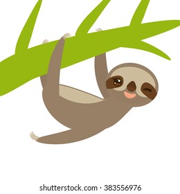 funny and cute smiling Three-toed sloth on green branch, isolated white background. Vector