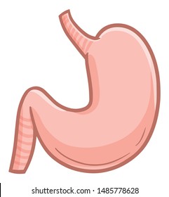 Funny and cute stomach in cartoon style for education picture