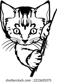 Funny cute vector line cats