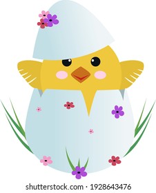 Funny cute yellow chicken in egg with flowers and grass. Cartoon character design, flat vector illustration