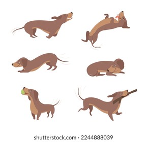 Funny Dachshund Brown Dog Character in Various Pose Vector Set