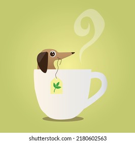 funny dachshund in a cup holds a tea bag in his teeth