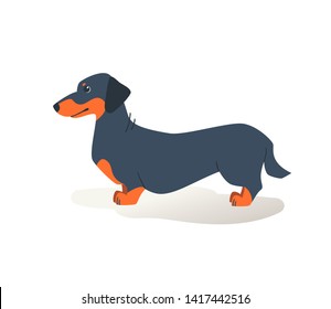 Funny dachshund dog isolated on a white background. Dachshund cartoon vector illustration. Cute dog with funny face