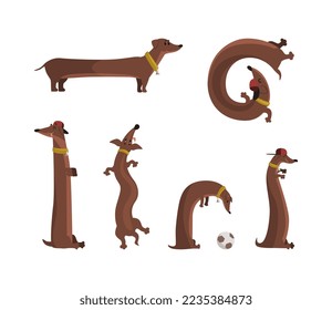 Funny Dachshund Dog with Long Brown Body Having Neck Collar Vector Set