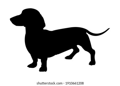 Funny Dachshund Dog Vector Art