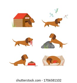 Funny dachshund illustrations. Usual activity