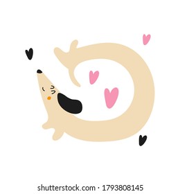 Funny dachshund with many colorful hearts. Vector illustration on white background. 