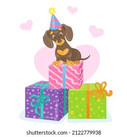 Funny dachshund puppy in a festive cap sits on colorful gift boxes. In cartoon style. Separate on a white background. Vector illustration