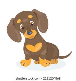 Funny dachshund puppy is sitting. In cartoon style. Isolated on white background. Vector flat illustration.