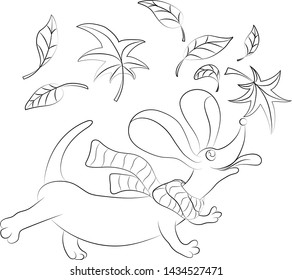 
funny dachshund in a scarf with leaves. black and white. circuit. vector and illustration