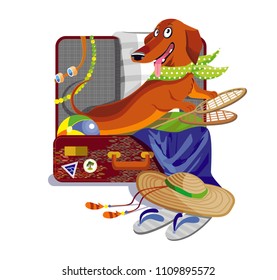 Funny Dachshund in suitcase, vector