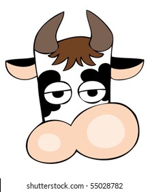 Funny dairy cow face.