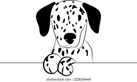 Funny Dalmatian dog with paws over a white wall, in a pocket vector illustration. Funny dog smiling. Cute dog head on a white background. Hand-drawn mascot. Smiling dog muzzle. BFF.