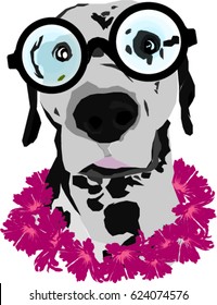 Funny Dalmatian with eye glasses and lei