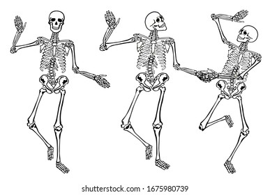 Funny dancing skeletons isolated on white background. Vector illustration, set