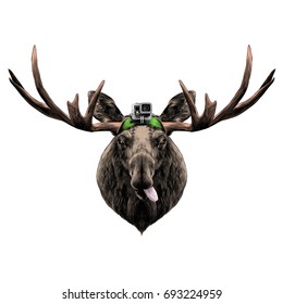 funny deer head funny sketch vector graphics color