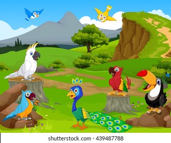 funny different kind of birds cartoon the jungle with landscape background