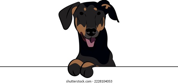 Funny Doberman dog with paws over a white wall, in a pocket vector illustration. Funny dog smiling. Cute dog head on a white background. Hand-drawn mascot. Smiling black dog muzzle. BFF.
