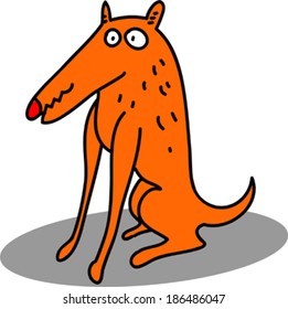 Funny dog