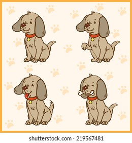  Funny dog