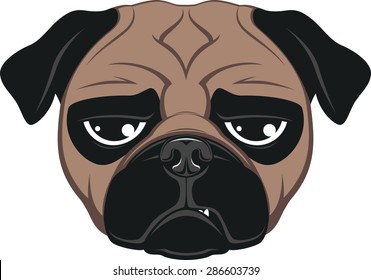 Funny dog