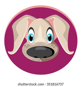 Funny dog