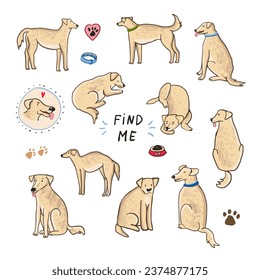 Funny dog adopt vector illustrations set.