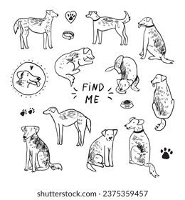 Funny dog adopt vector illustrations set.