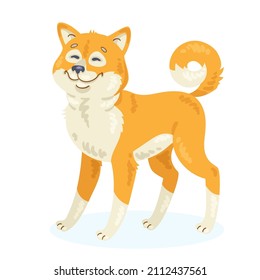 Funny dog of Akita Inu breed. In cartoon style. Isolated on white background. Vector flat illustration.