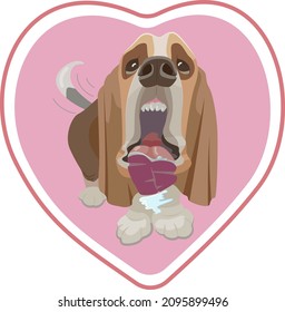 A Funny Dog Basset Hound Licks The Glass With His Tongue. Heart. Valentine's Day. Vector Illustration.