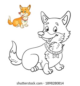 A funny dog breed corgi. Black and white picture for coloring book with a colorful example. In cartoon style. Isolated on white background. Vector illustration.