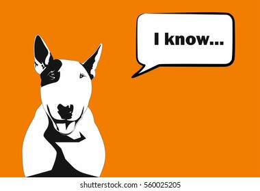 funny dog a bull terrier with a balloon for the text on a bright orange background