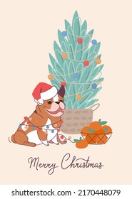 Funny dog bulldog wearing a Santa Claus hat on christmas card. Vector greeting card in flat style with lettering Merry Christmas.