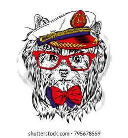 Funny dog in cap and glasses. Sailor. Vector illustration for greeting card, poster, or print on clothes. Funny dog.