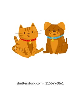 Funny dog and cat sitting together, cute domestic pet animals cartoon characters, best friends vector Illustration on a white background