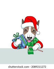 Funny dog ​​in a Christmas costume. Gift box, Santa costume