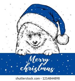 Funny Dog in Christmas hat. Vector illustration. Christmas and New Year.
Hand-drawn.