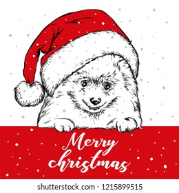 Funny Dog in Christmas hat. Vector illustration. Christmas and New Year.
Hand-drawn.