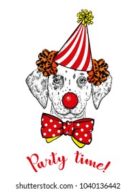 Funny dog in a clown hood, tie and with a clown nose. Vector illustration. A circus, a holiday and a party.