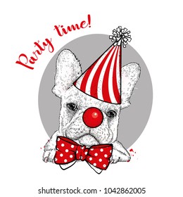 Funny dog in a clown hood, tie and with a clown nose. Vector illustration. A circus, a holiday and a party.