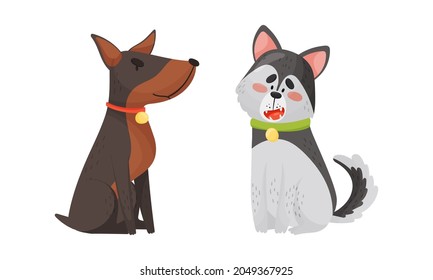 Funny Dog with Collar as Four-legged Friend and Domestic Pet Vector Set