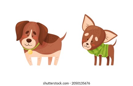 Funny Dog with Collar as Four-legged Friend and Domestic Pet Vector Set