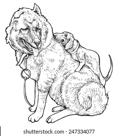 Funny dog couple - hand drawn realistic vector stylized as engraving