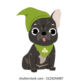 Funny dog in cute outfit. Pet in cute green clothes